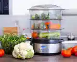food-steamer-repair