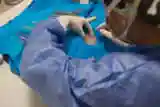 pet-sterilization